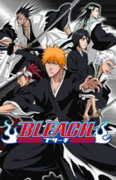 Bleach (2004)